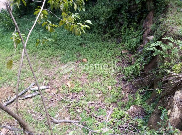 23 perches bare land for sale in Thalathuoya for Rs. 2.25 lakhs (Per Perch)