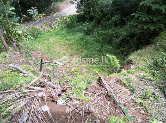 23 perches bare land for sale in Thalathuoya for Rs. 2.25 lakhs (Per Perch)