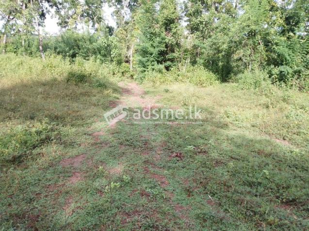 A plot of 20 perches is for sale in Wevegedara, Kurunegala.  Contact 0762561698 කුරුණෑගල වැවගෙදර ප්‍රදේශයෙන් පර්චස් 20ක ඉඩමක් විකිණීමට ඇත