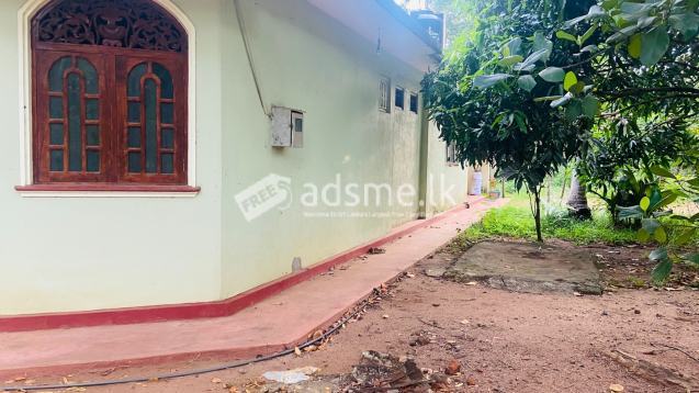 House for sale in thambuttegama