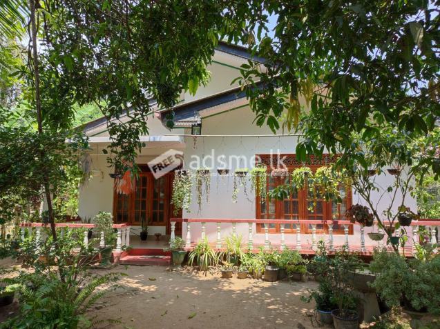 House For Sale
