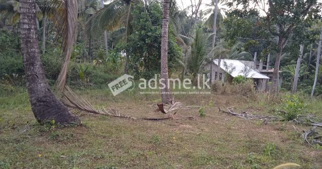 land for sale Kurunagala