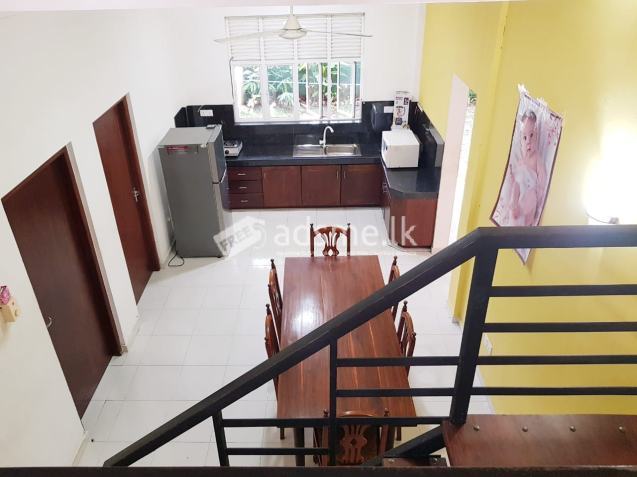Full Furnished House for rent
