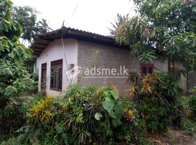 Land with House for Sale in Biyagama  නිවස සමග ඉඩමක් විකිනීමට තිබේ බියගම