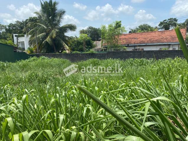 20 perches bare land for sale in Thalawathugoda