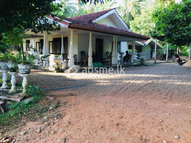 Land And House For Rent