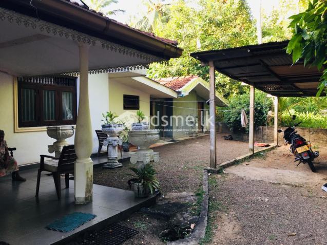 Land And House For Rent
