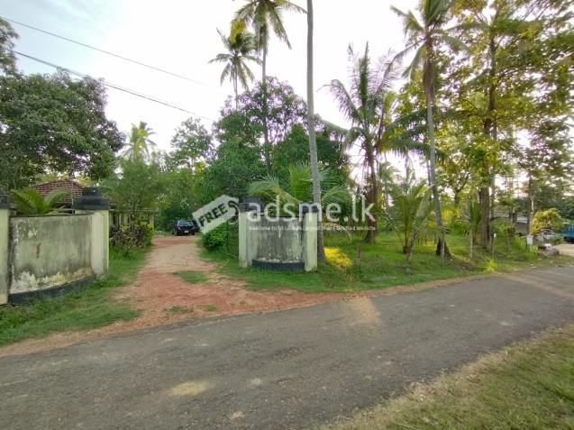 කුලියාපිටිය දෙලන පන්සල හන්දියෙන් නිවසක් සහිත ඉඩමක් විකිණීමට