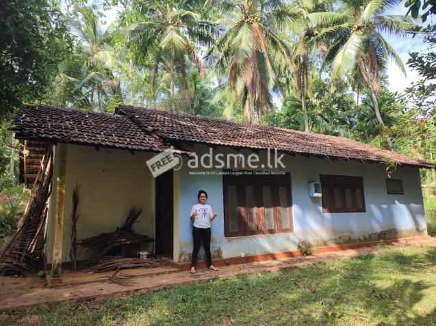 land with 3 bedroom house for sale