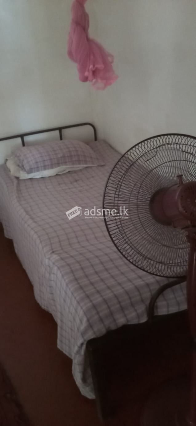 Room for rent in Wickramasinghepura