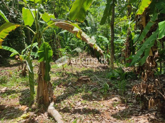land near future highway