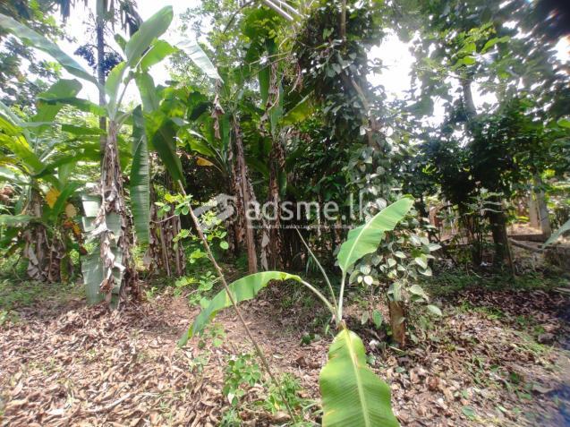 land near future highway