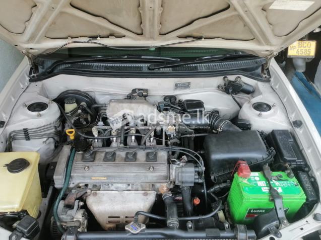 Toyota Other Model 1998 (Used)