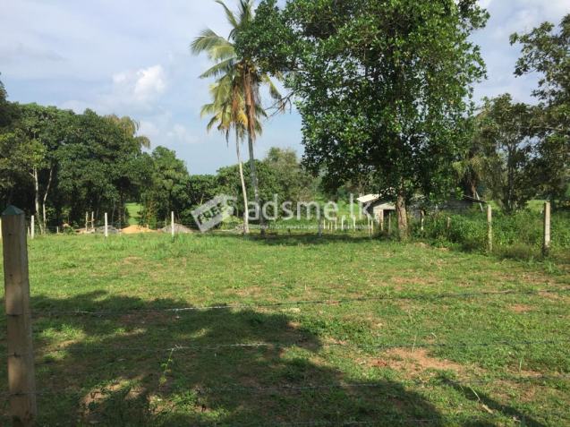 land for sale in gampaha
