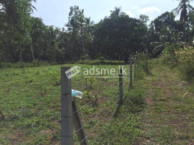 land for sale in gampaha