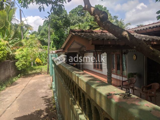 Valuable Land (with house) for Urgent Sale