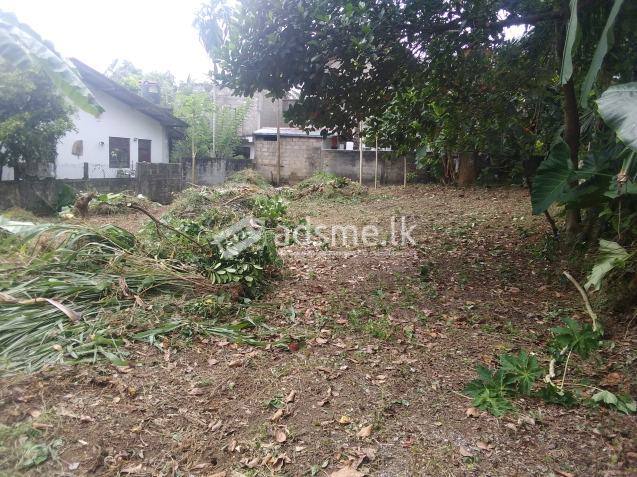 Land for sale in Panadura
