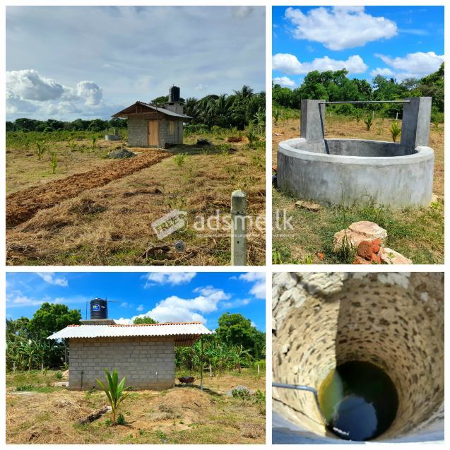 Land for Sell
