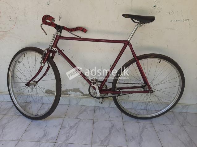 Raleigh Bicycle