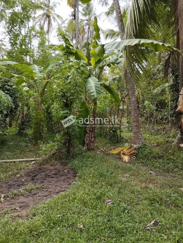 Land for Sale Pannala | Hunuwila