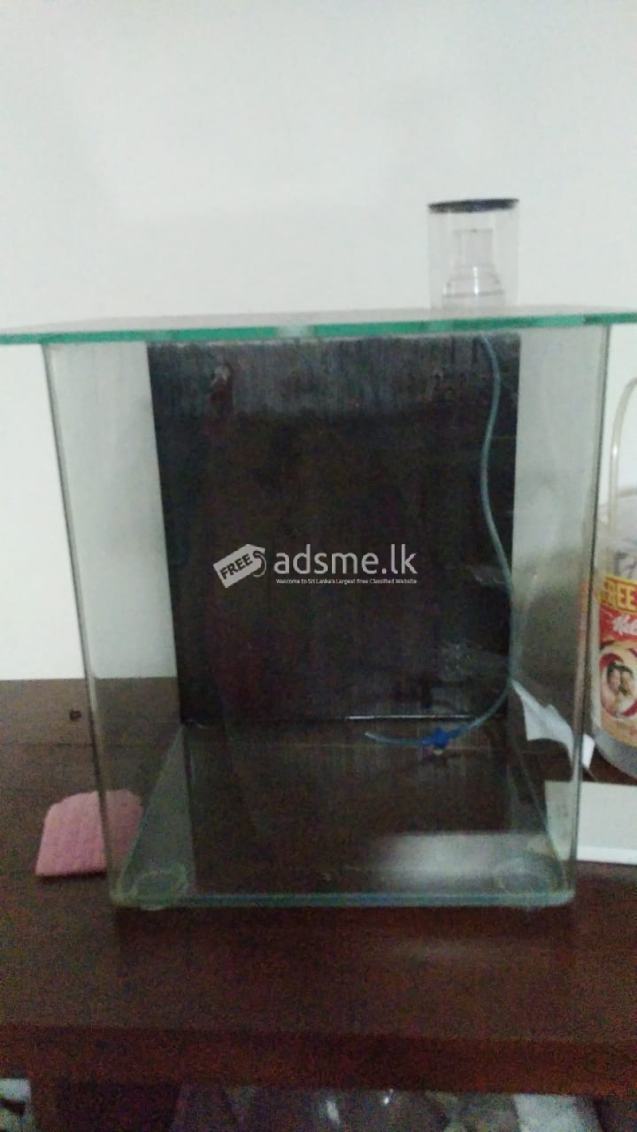 Fish Tank for Sale (Used)