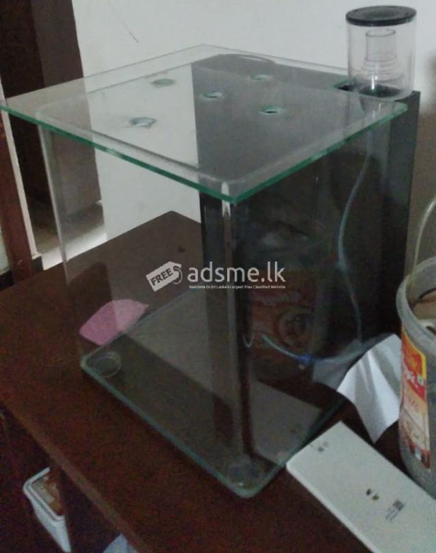 Fish Tank for Sale (Used)