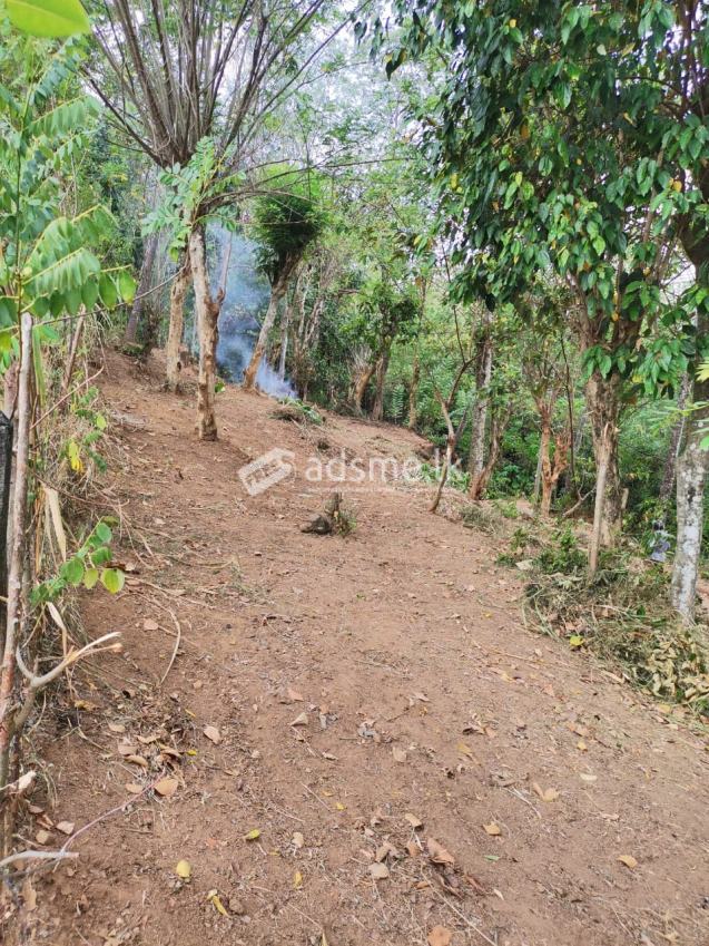 LAND FOR SALE IN KANDY