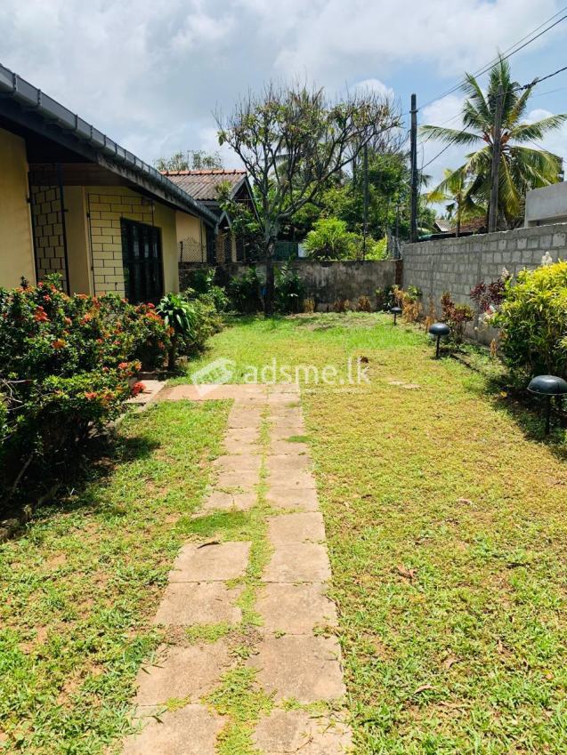 3 Bed Room house for Rent
