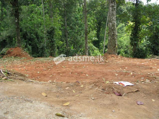 Land for sale in Ampitiya Kandy