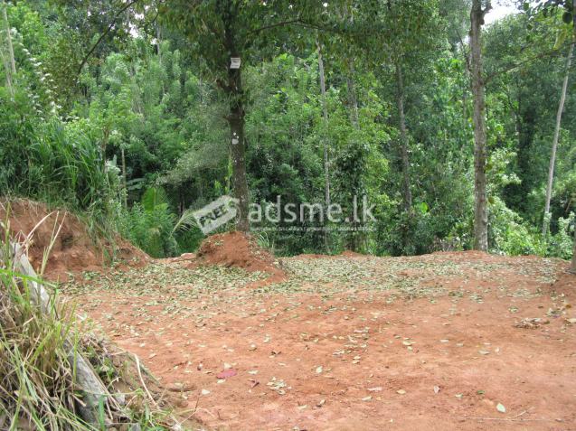 Land for sale in Ampitiya Kandy