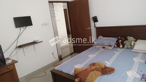 3 Bedrooms Luxury  Apartment Unit for Rent in Borella( Colombo 08)