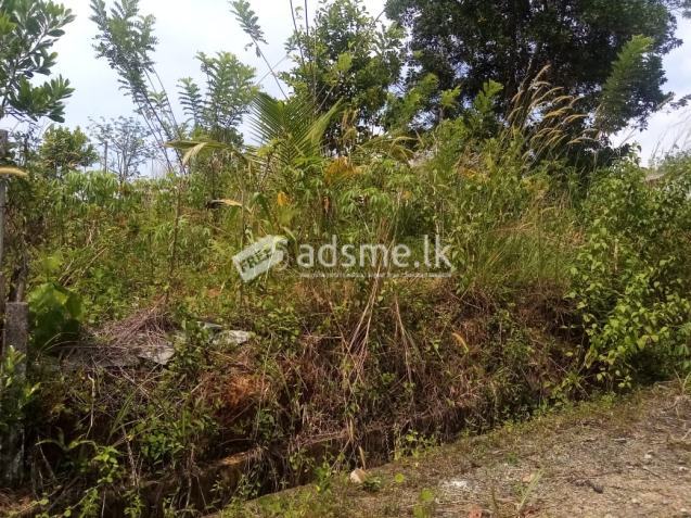 නාගරික පරිසරයක සියළු පහසුකම් සමඟින්