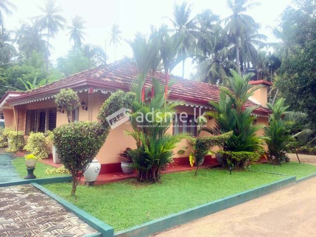 Road-Facing Land for Sale in Kandawala, Katana