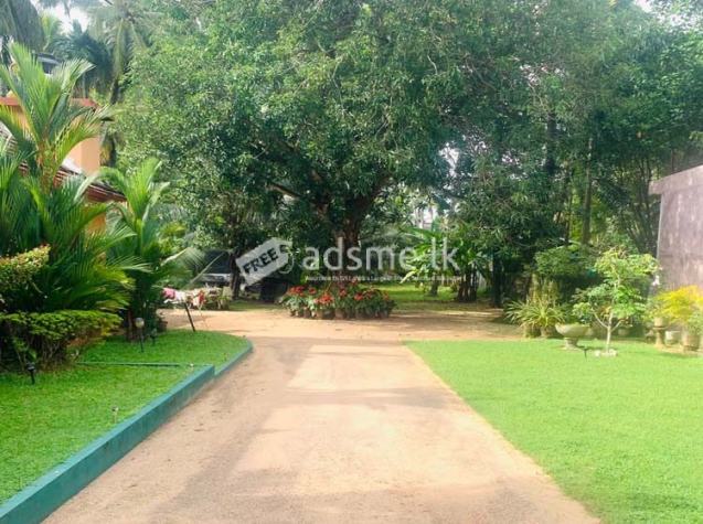 Road-Facing Land for Sale in Kandawala, Katana