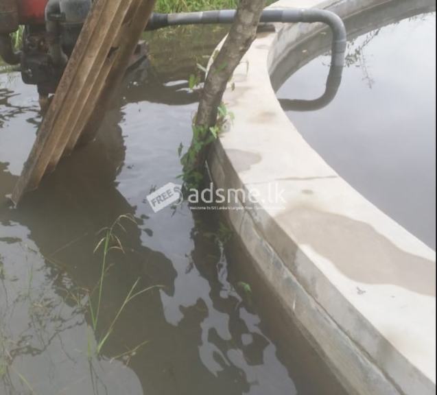 18 Acres land for sale immediately at Maho