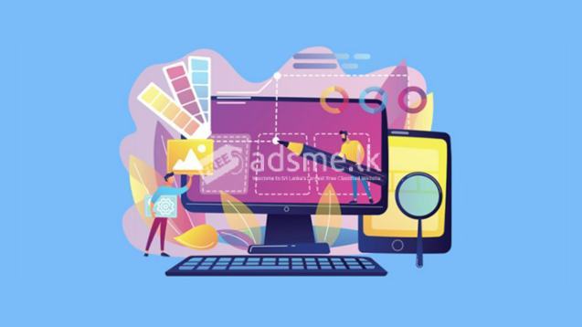 Website Design Development