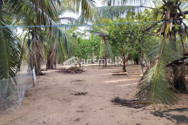 Fully Fenced 10 Acres of land for Immediate Sale at Batticaloa.