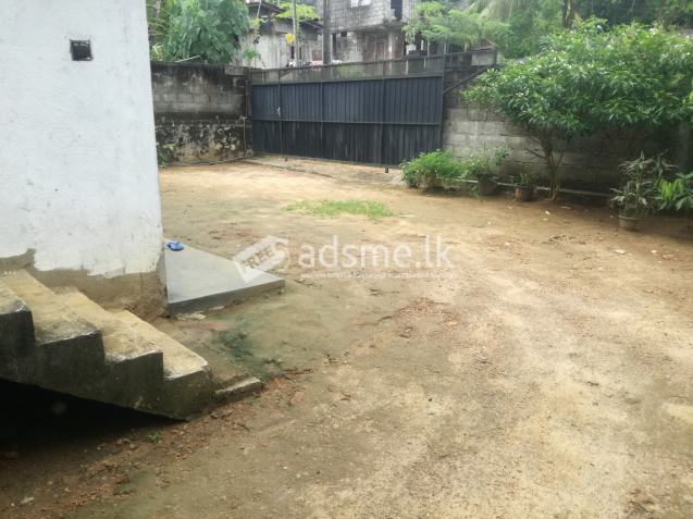 Fully tiled house for rent Pahathgama