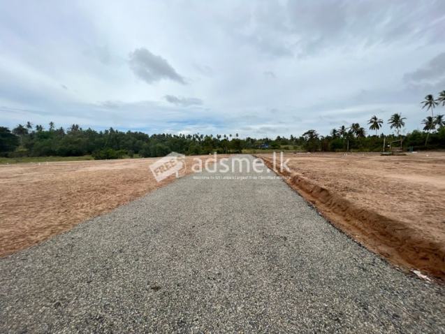 Well Developed 3.5 Acres Bare Land for Rent in Katunayake.