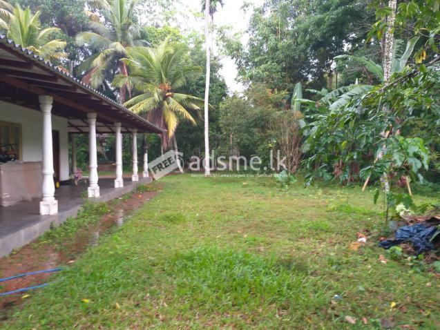 House For Sale