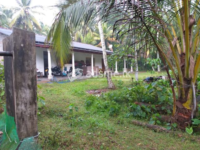 House For Sale