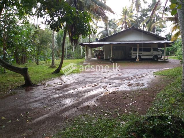 House For Sale