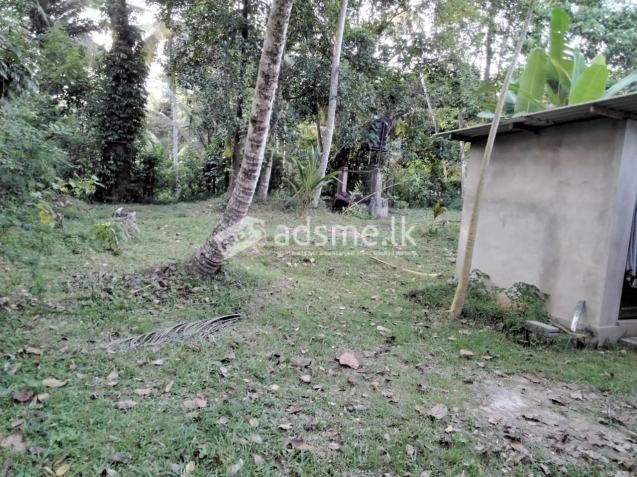 Valuable Land With Colonial House