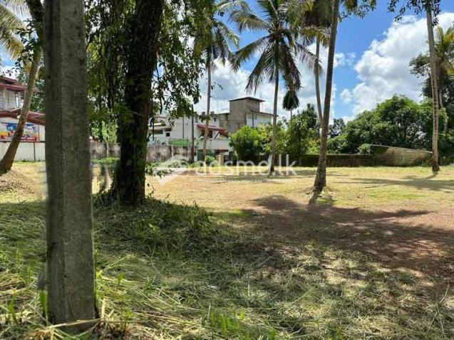 Valuable 56 Perches Land for Sale in Veyangoda.