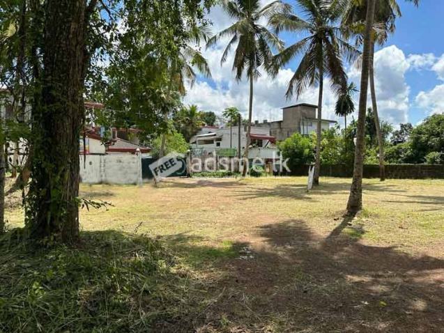 Valuable 56 Perches Land for Sale in Veyangoda.
