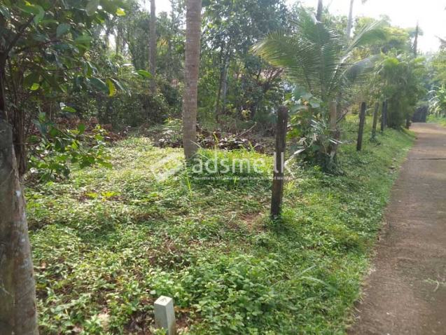 Residential 20 Perches Land Blocks for Sale in Ihala Yagoda, Gampaha.