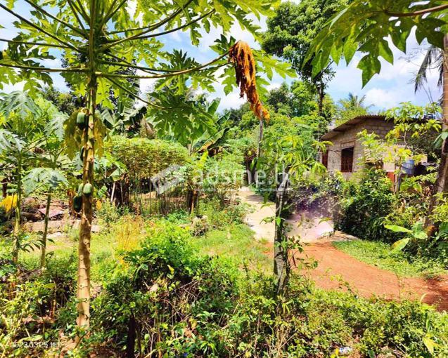 A valuable  54  Perches land for Sale in Attanagalla, Nittambuwa.