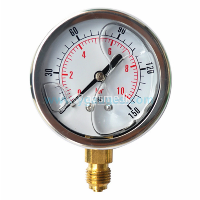 Maruikesi Bourdon Tube Gauges: Precision Meets Affordability in Sri Lanka’s Industrial Sector