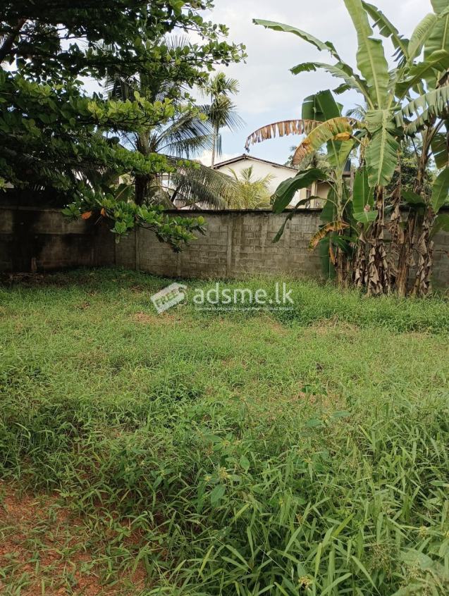 Valuable Land for sale from Nawala