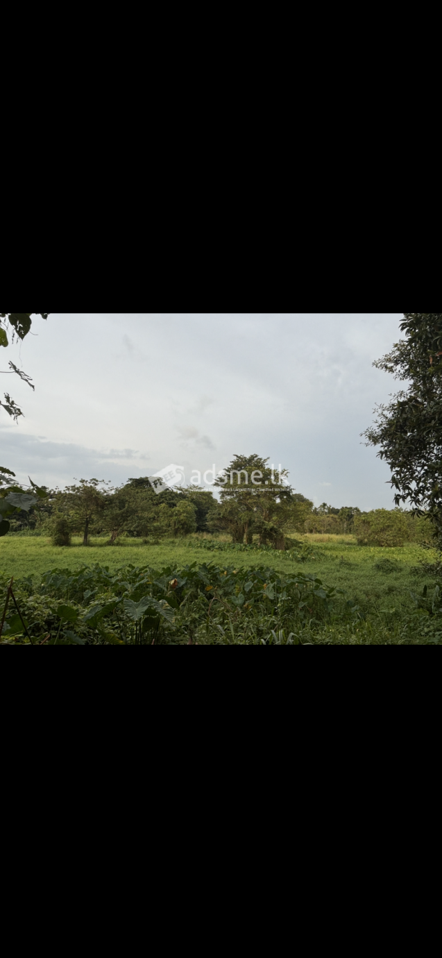 Land in Kalalgoda, Thalawathugoda